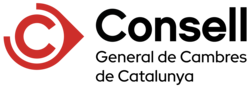 Consell Logo