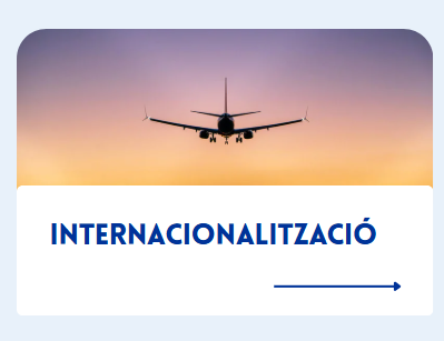 Internacionalització